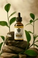 Cleopatra hemp infused sleep tincture 3000mg full spectrum CBD with peppermint, turmeric, and basil on stacked stones surrounded by green leaves.